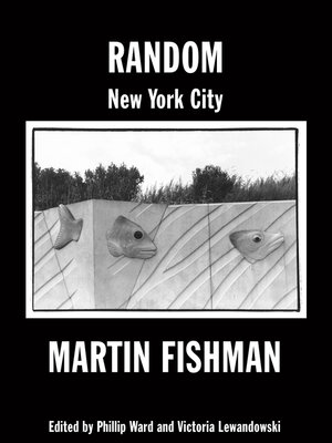 cover image of Random New York City: Photographs by Martin Fishman